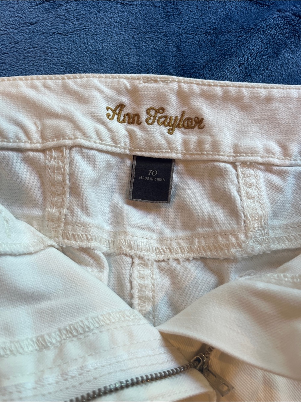 Ann Taylor skirt